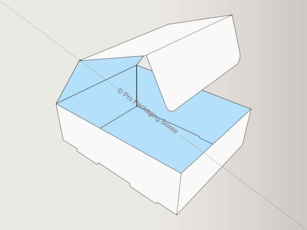 Custom Printed Double Wall Tuck Top Boxes