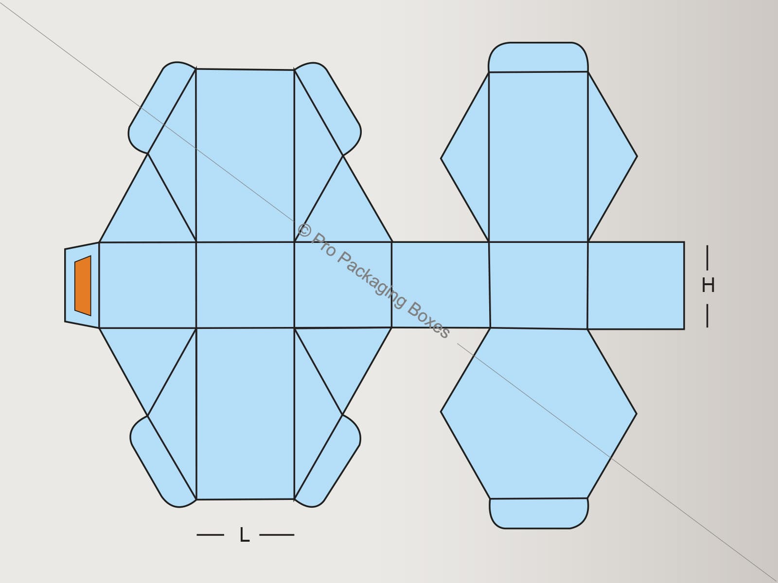 Custom Printed Hexagon Boxes