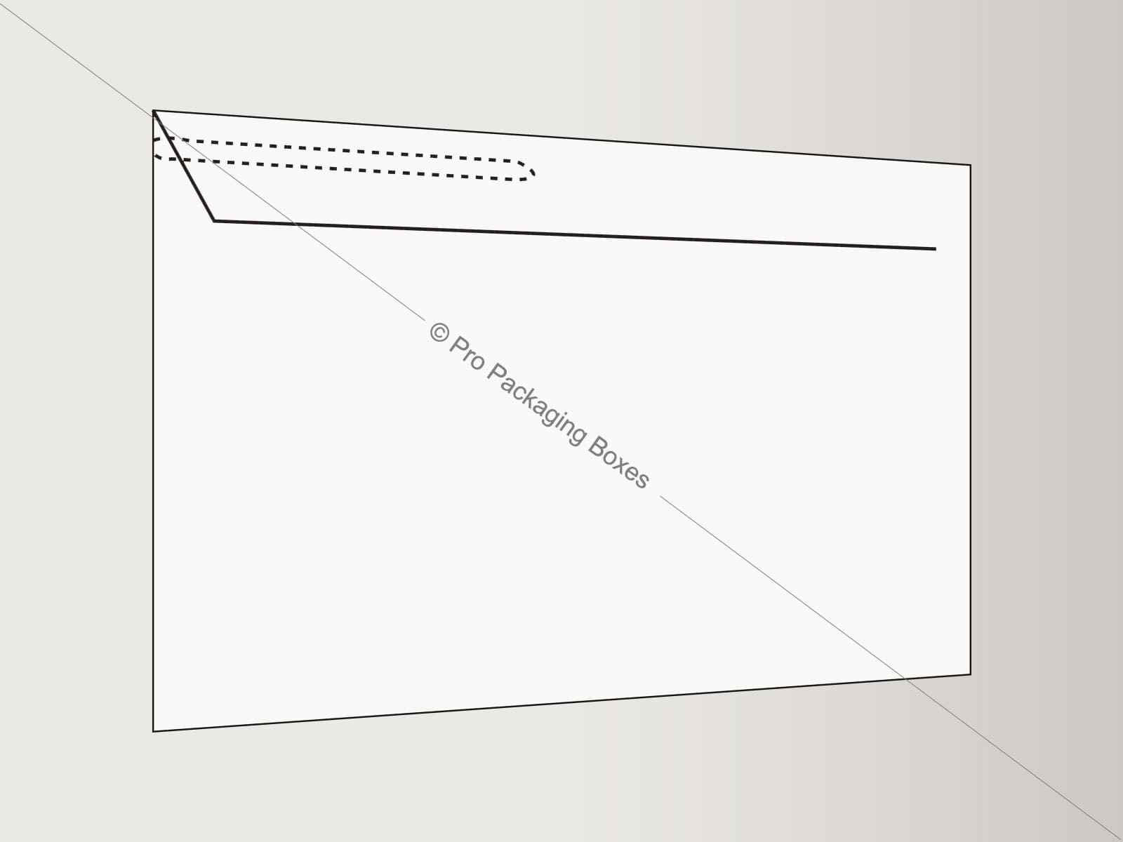 Custom Printed Mailer with Zipper