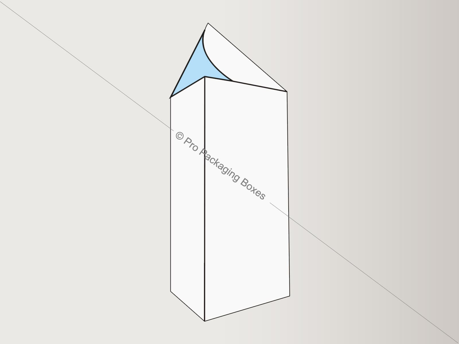 Custom Printed Prism Shaped Boxes