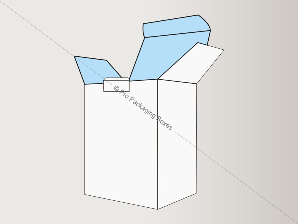 Custom Printed Reverse Tuck End with Lock Boxes