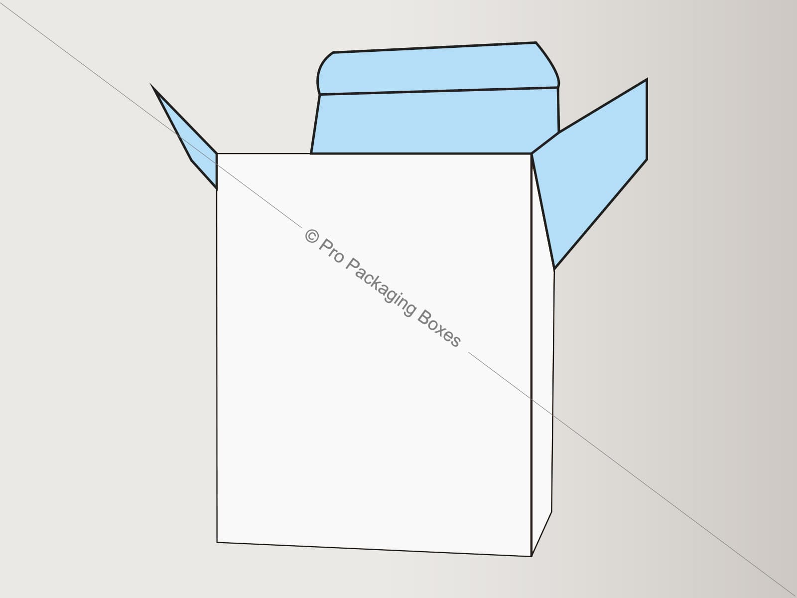 Custom Printed Slope Top Reverse Tuck End Boxes