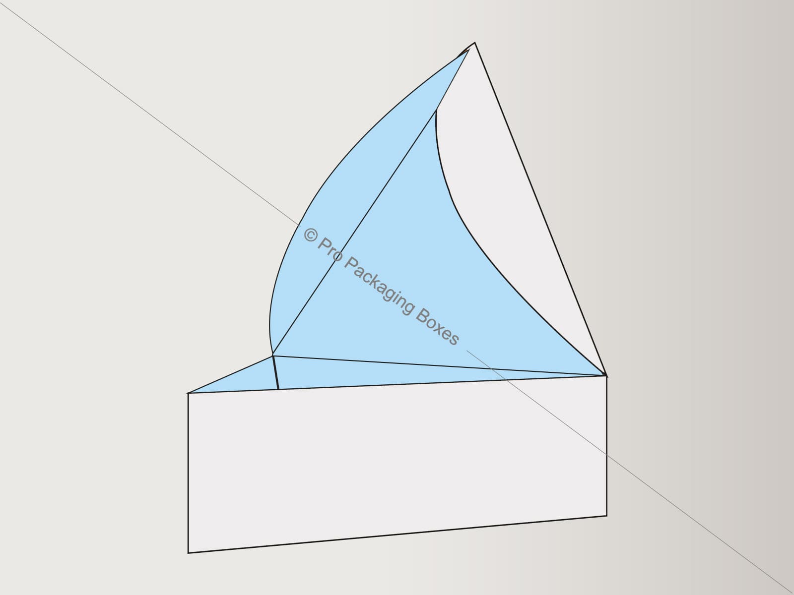 Custom Printed Triangular Tray with Lid