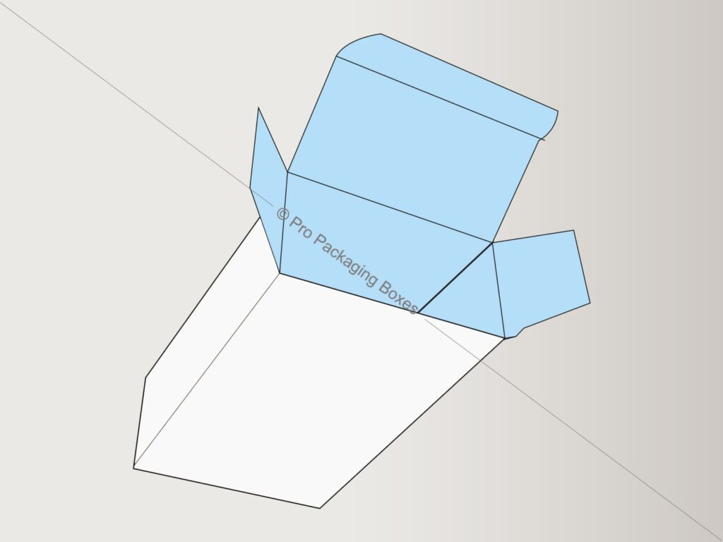 Custom Printed Tuck End Auto Bottom Boxes