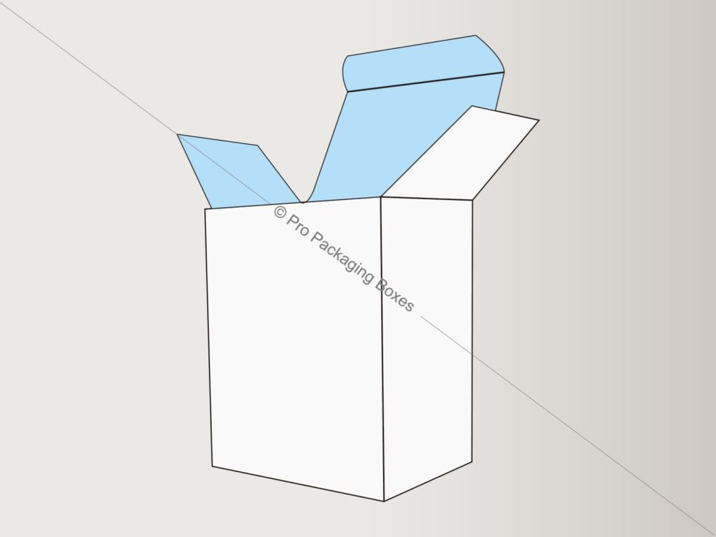 Custom Printed Tuck End Snap Lock Bottom Boxes